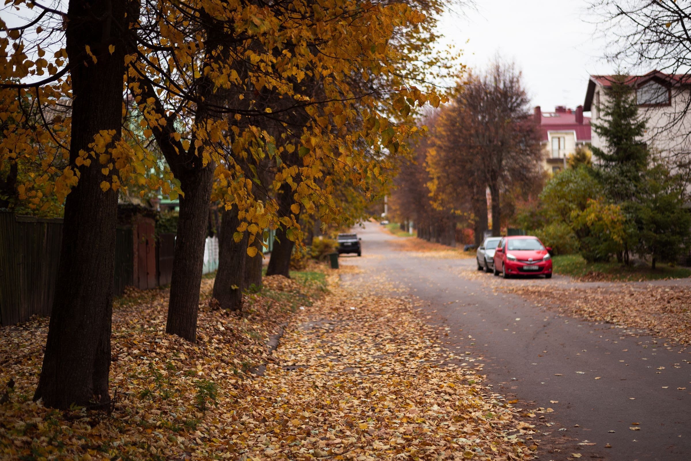 Towing Creve Coeur IL: quiet residential street covered in fallen leaves, the kind of road our trucks cover around Creve Coeur