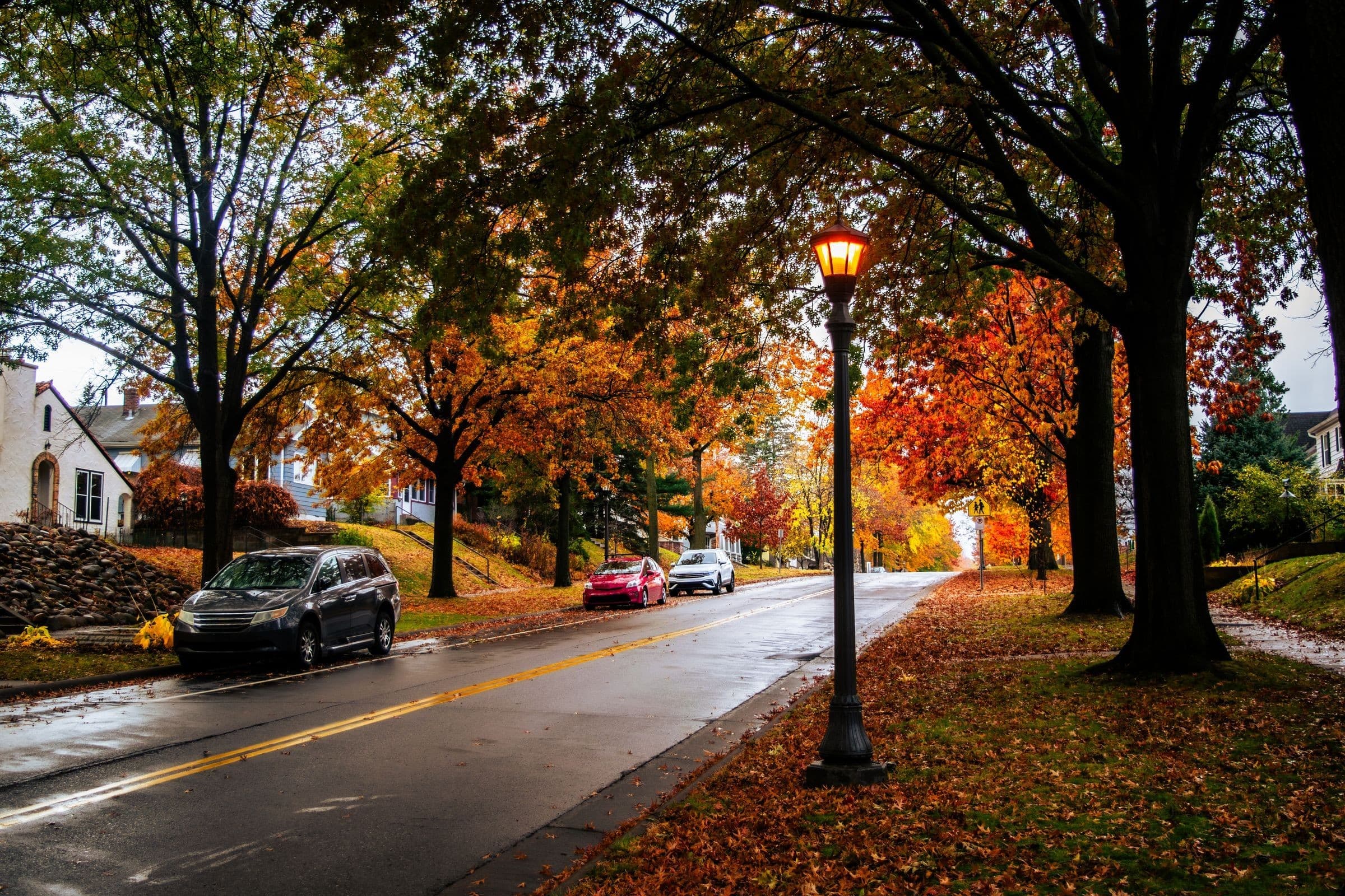 Towing Peoria Heights IL: residential street with a lamp post and fall leaves after rain, the kind of road our trucks cover around Peoria Heights